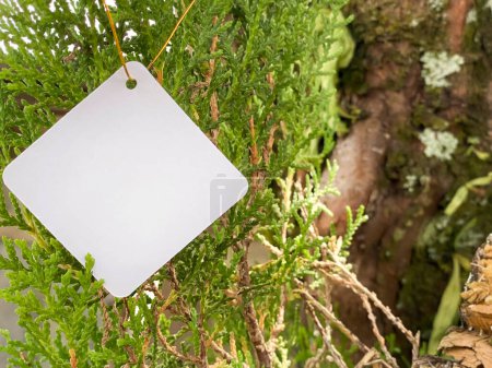 Abstract - blank paper tag on tree  background. For copy space. Stock photo.