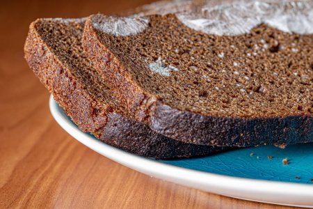 Téléchargez les photos : Du pain sec et moisi. Nourriture gâtée et non consommable. Tranches de pain noir, recouvertes de moisissure. Moule sur pain - en image libre de droit