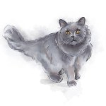 Watercolor illustration of a persian cat on a white background, for a print, picture, logo, gift.