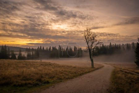 Photo for Autumn morning in Jizerske mountains with sun and mist in north Bohemia - Royalty Free Image