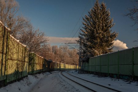 Photo for Snowy frosty railway near Ceske Budejovice city with big coniferous tree - Royalty Free Image