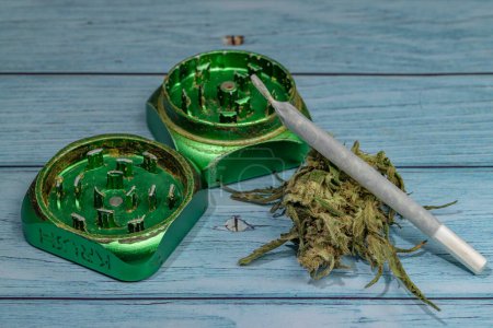 Foto de Marihuana seca flor verde oscuro sobre mesa vieja de madera azul con molinillo verde - Imagen libre de derechos