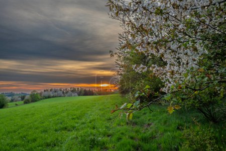 Soirée près du village de Roprachtice dans une soirée nuageuse avec coucher de soleil