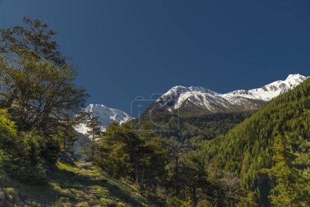 Glishorn and Fulhorn hills near Brig town in spring color fresh morning