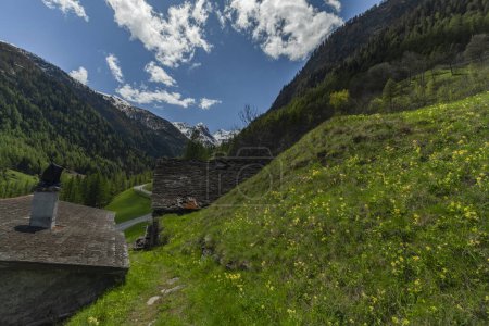 Vallée verte avec village en journée ensoleillée en Gabi Suisse