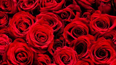 Foto de Imagen de hermosas rosas rojas dispuestas - Imagen libre de derechos