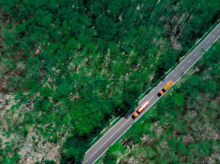 Téléchargez les photos : Vue aérienne de la route entre les forêts à Situbondo, Java Est, Indonésie. - en image libre de droit