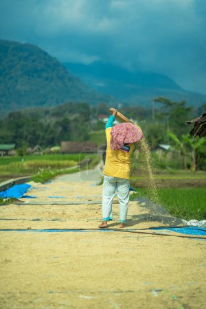 Téléchargez les photos : 16 juillet 2023, Trawas, Mojokerto, Java oriental, Indonésie. Une dame qui travaille à tamiser les grains de riz de manière traditionnelle sous la lumière directe du soleil. - en image libre de droit