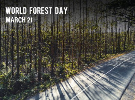 Photo for March 21, World Forest Day celebrates the vital role of forests in sustaining life on Earth, highlighting their biodiversity, environmental importance, and the need for conservation - Royalty Free Image