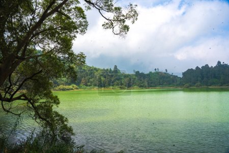 Photo for Telaga Warna, a mystical lake in Dieng, Indonesia, changes hues like a chameleon. Its emerald waters reflect the surrounding forest, creating a breathtaking spectacle. - Royalty Free Image