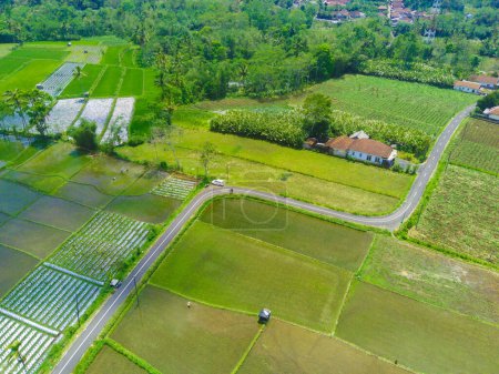 Téléchargez les photos : Une belle vue aérienne de route sinueuse entre les rizières de Pronojiwo, Java Est, Indonésie. Photographie aérienne. - en image libre de droit