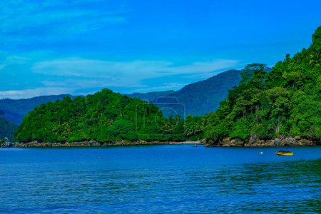 Tranquillité de la plage avec des arbres verdoyants luxuriants sur une plage de sable. En arrière-plan, il y a un ciel bleu avec des nuages blancs à Tulungagung, Java oriental, Indonésie.