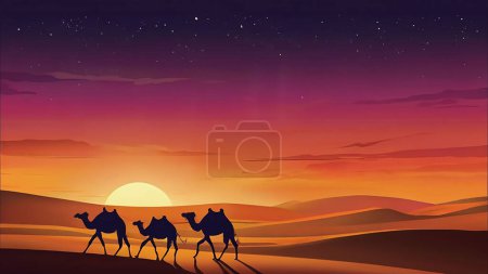 Camellos de silueta caminando por el desierto durante el hermoso atardecer