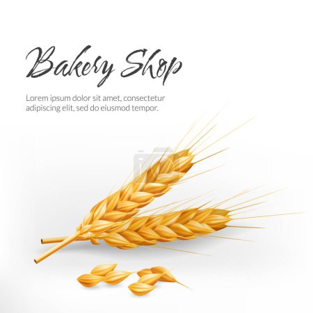 Téléchargez les photos : Illustration vectorielle 3D réaliste d'une épi dorée de blé sur fond blanc. Parfait pour les boulangeries, les conceptions liées à l'agriculture. Représente la récolte d'automne, les ingrédients naturels, les aliments sains - en image libre de droit