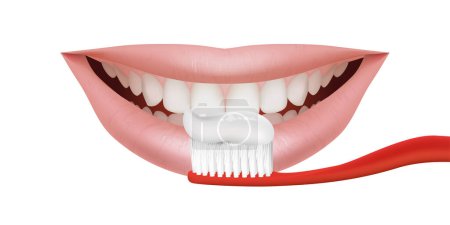Téléchargez les photos : Illustration 3D d'un sourire réaliste avec des dents saines. Dents réalistes brossées à l'aide d'une brosse à dents rouge. Santé buccodentaire et hygiène Pour équipement dentaire ou traitement de blanchiment. Promotion des dentifrices - en image libre de droit