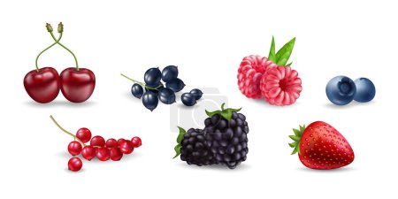 Jugosas bayas vector frambuesa, arándano, cereza, grosella, mora, fresa sobre fondo blanco. Ilustraciones de fruta fresca, realista y orgánica. Ideal para diseños de alimentos, salud y naturaleza.