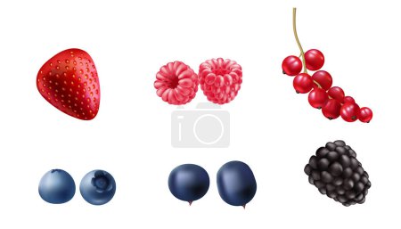Illustration for Vector illustration set of fresh, 3d realistic berries blueberry, currant, raspberry, blackberry, strawberry, and redcurrant. Ideal for food, health, and nature designs - Royalty Free Image