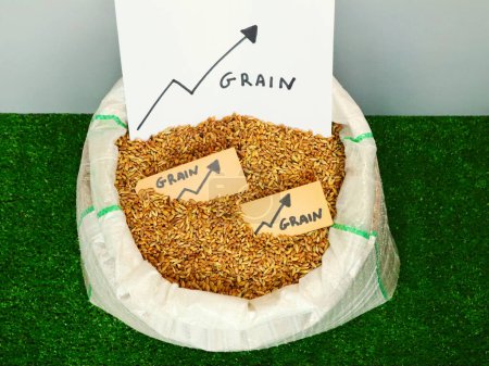 Foto de Saco de grano con la creciente etiqueta del precio de la bolsa de granos debido a la crisis - Imagen libre de derechos
