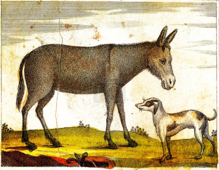 Photo for DONKEY and DOG  1840 Vintage Engraved Illustration with original colors and imperfections. - Royalty Free Image