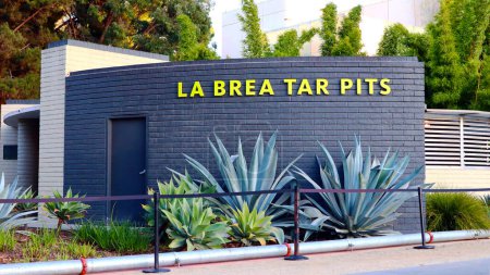Foto de Los Ángeles, California - 2 de octubre de 2019: LA BREA TAR PITS & Museum, uno de los sitios de excavación de fósiles más famosos del mundo - Imagen libre de derechos