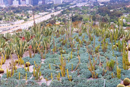 Photo for Los Angeles, California - May 10, 2019: view of Los Angeles from The Getty Center Museum, South Promontory, Cactus Garden - Royalty Free Image