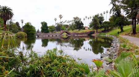 Téléchargez les photos : Los Angeles, Californie, États-Unis - 29 mai 2023 : Hollenbeck Park situé à l'angle des rues Saint-Louis et Fourth. Le parc dispose de collines herbeuses, aires de pique-nique, terrains de jeux, parc de planche à roulettes et un lac - en image libre de droit