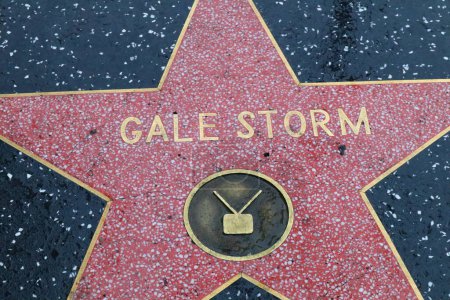 Photo for USA, CALIFORNIA, HOLLYWOOD - May 20, 2019: Gale Storm star on the Hollywood Walk of Fame in Hollywood, California - Royalty Free Image