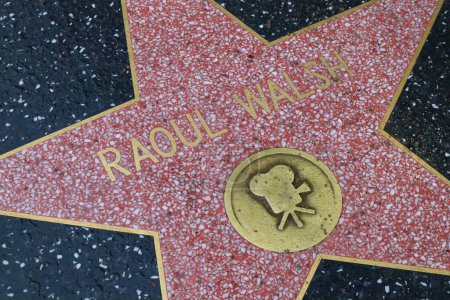 Photo for USA, CALIFORNIA, HOLLYWOOD - May 20, 2019: Raoul Walsh star on the Hollywood Walk of Fame in Hollywood, California - Royalty Free Image