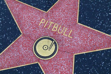 Photo for USA, CALIFORNIA, HOLLYWOOD - 18 April 2019: Pitbull star on the Hollywood Walk of Fame in Hollywood, California - Royalty Free Image