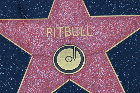 Téléchargez les photos : USA, CALIFORNIA, HOLLYWOOD - 18 avril 2019 : Pitbull star sur le Hollywood Walk of Fame à Hollywood, Californie - en image libre de droit