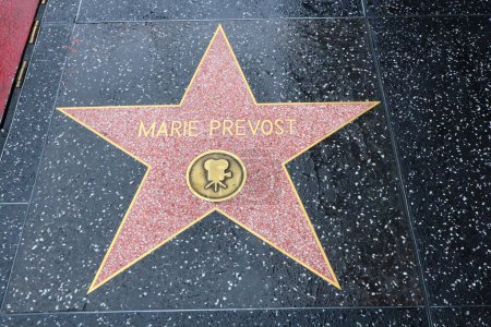 Téléchargez les photos : USA, CALIFORNIA, HOLLYWOOD - 20 mai 2019 : Marie Prevost sur le Hollywood Walk of Fame à Hollywood, Californie - en image libre de droit