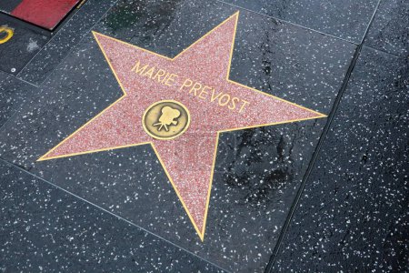 Téléchargez les photos : USA, CALIFORNIA, HOLLYWOOD - 20 mai 2019 : Marie Prevost sur le Hollywood Walk of Fame à Hollywood, Californie - en image libre de droit