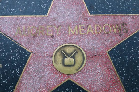 Téléchargez les photos : USA, CALIFORNIA, HOLLYWOOD - 20 mai 2019 : Audrey Meadows sur le Hollywood Walk of Fame à Hollywood, Californie - en image libre de droit