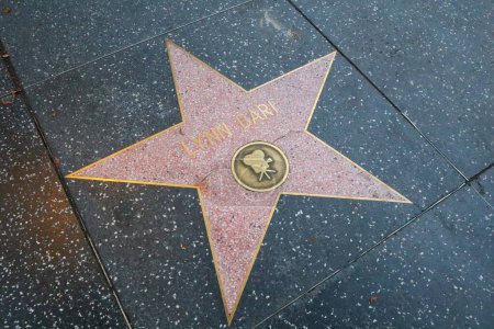 Photo for USA, CALIFORNIA, HOLLYWOOD - May 20, 2019: Lynn Bari star on the Hollywood Walk of Fame in Hollywood, California - Royalty Free Image