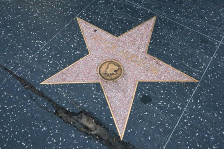 Photo for USA, CALIFORNIA, HOLLYWOOD - May 20, 2019: Rock Hudson star on the Hollywood Walk of Fame in Hollywood, California - Royalty Free Image