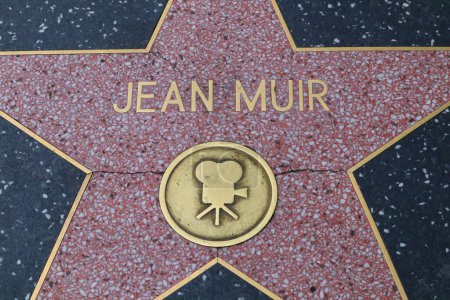 Photo for Hollywood (Los Angeles), California  May 29, 2023: Star of Jean Muir on Hollywood Walk of Fame, Hollywood Boulevard - Royalty Free Image