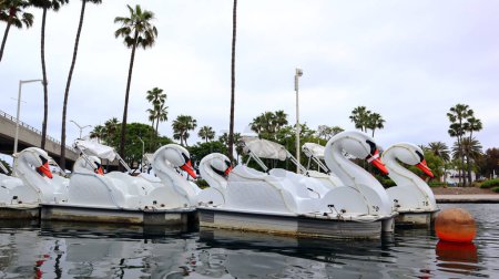 Téléchargez les photos : Long Beach, Californie 5 juin 2023 : Rainbow Lagoon Park avec Swan Boat Rental situé au nord de Shoreline Drive et Linden Avenue - en image libre de droit