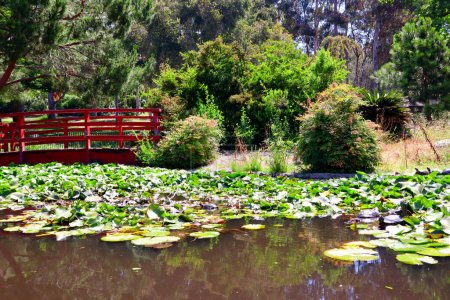Los Angeles, California: The Doris Japanese Garden at Kenneth Hahn State Recreation Área. Es una unidad del Parque Estatal de California en las Montañas Baldwin Hills de Los Ángeles
