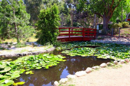 Photo for Los Angeles, California: The Doris Japanese Garden at Kenneth Hahn State Recreation Area. Is a State Park unit of California in the Baldwin Hills Mountains of Los Angeles - Royalty Free Image