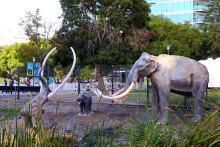Foto de Los Ángeles, California Octubre 13, 2023: Representación de una escena prehistórica, donde un mamut está atrapado en el alquitrán, se representa en Los Ángeles - Imagen libre de derechos