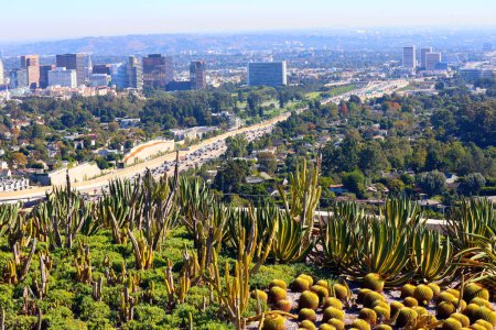 Photo for Los Angeles, California  November 2, 2023: Cactus Garden at The Getty Center Museum, South Promontory - Royalty Free Image