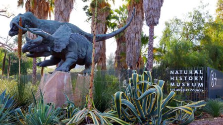 Foto de Los Ángeles, California 4 de noviembre de 2023: Los Angeles County Museum of Natural History ubicado en Exposition Park, Los Ángeles - Imagen libre de derechos