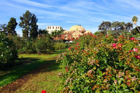 Photo for Los Angeles, California - November 4, 2023: Exposition Park Rose Garden at 701 State Dr, Los Angeles - Royalty Free Image