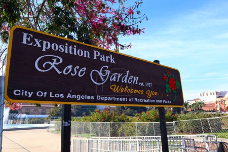 Téléchargez les photos : Los Angeles, Californie 4 novembre 2023 : Exposition Park Rose Garden at 701 State Dr, Los Angeles - en image libre de droit