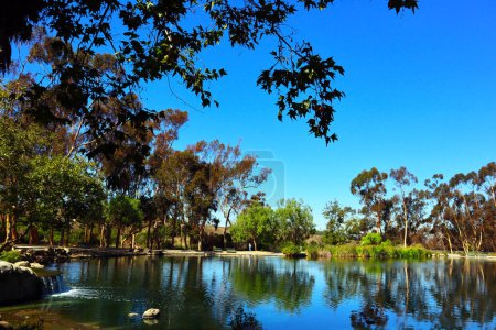 Foto de Los Ángeles, California - 12 de octubre de 2023: Echo Park Lake, lago y parque urbano en el barrio de Echo Park de Los Ángeles - Imagen libre de derechos