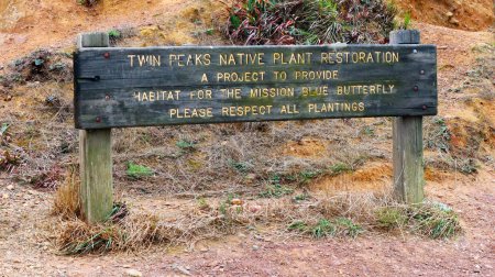 Téléchargez les photos : San Francisco, Californie - 25 octobre 2023 : signe de la restauration des plantes indigènes de Twin Peaks, un projet visant à fournir un habitat au papillon bleu de la mission - en image libre de droit