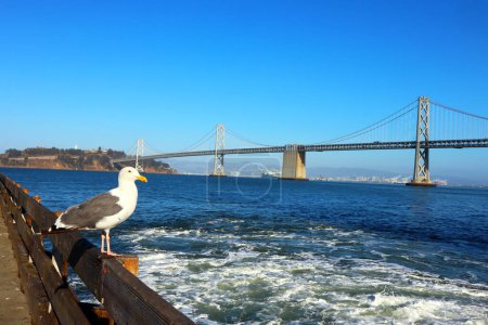 Foto de San Francisco, California: San Francisco-Oakland Bay Bridge With Seagulls - Imagen libre de derechos
