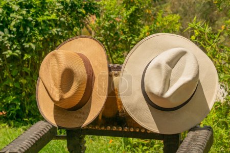Téléchargez les photos : Chapeaux de paille sur un banc en bois dans le jardin - en image libre de droit