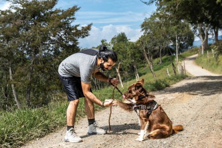 Téléchargez les photos : Adulte métis homme dressant son chien collie frontière en lui apprenant à serrer la main - en image libre de droit