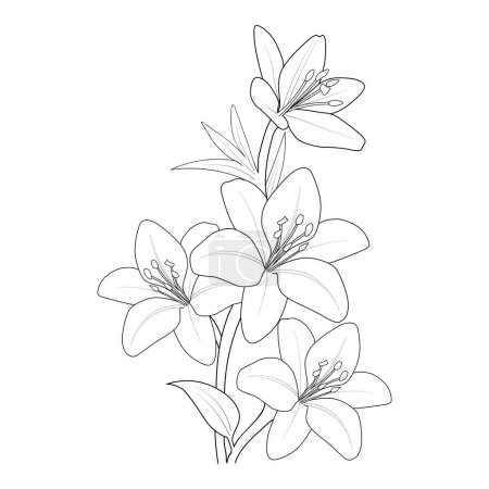 Foto de Vector ilustración de flores de magnolia. - Imagen libre de derechos